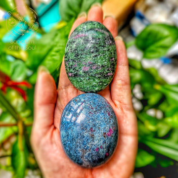 ミュージシャン HERB GARDEN Amazon.co.jp: HERB GARDEN: ミュージック